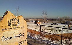 Ocean Imaging Office Sign with Elk in Background