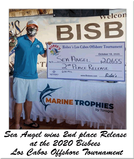Sea Angel 2nd Plave: Bisbees Los Cabos Offshore 2020