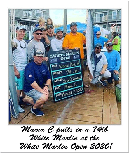 Mama C 74 lb White Marlin: White Marlin Open 2020